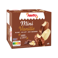 Bât.glacé NETTO mini vanille x6 300g