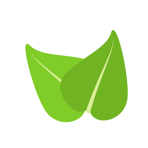 Bio